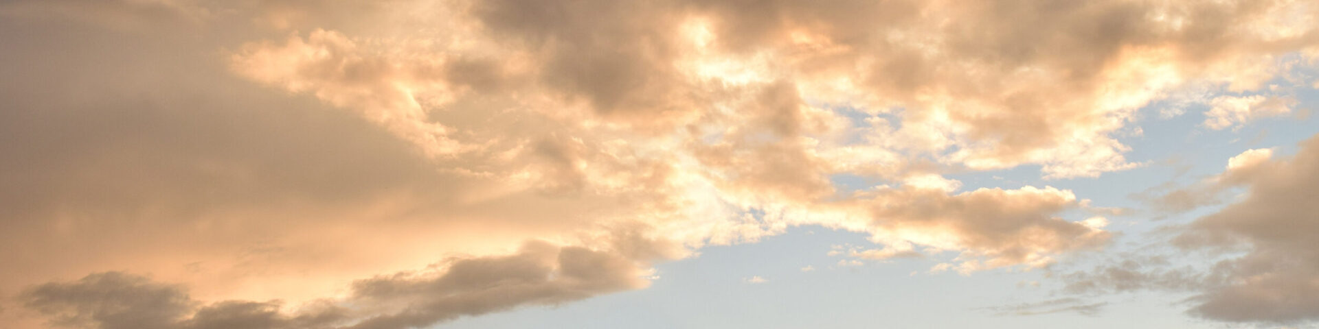 Januar 2025 – Andacht Heute